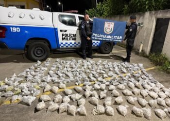 PM realiza maior apreensão de drogas do ano em Petrópolis