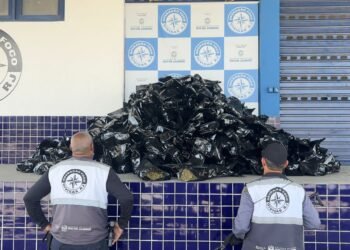 Homem é preso com cerca de 300 kg de gambá na Via Dutra, em Itatiaia