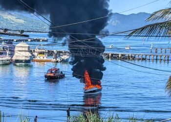 Cachorro morre e três pessoas ficam feridas após fogo atingir embarque em Angra dos Reis