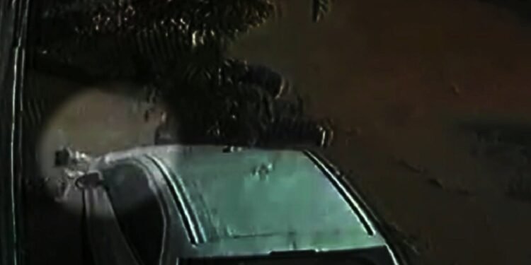 ‘Pulei o muro e consegui resgatá-la’: diz jovem que salvou mulher arrastada por correnteza em Barra Mansa