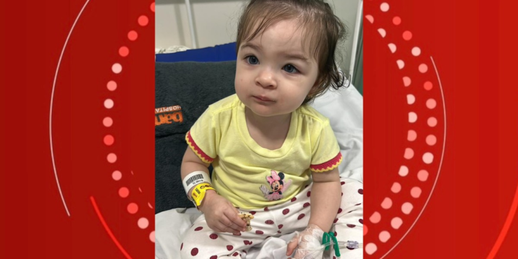 Criança com doença rara é selecionada para terapia gênica nos EUA