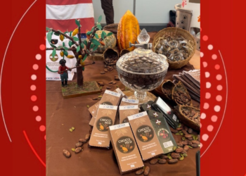 Estudantes baianos desenvolvem chocolate para pessoas com diabetes