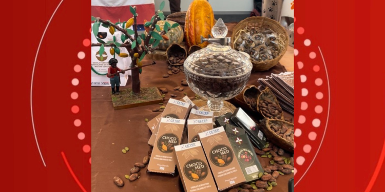 Estudantes baianos desenvolvem chocolate para pessoas com diabetes