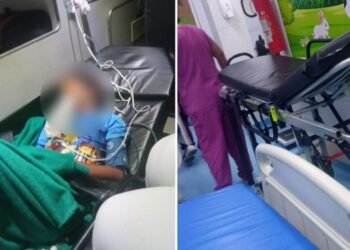 Criança morre com hemorragia ao cair de árvore: ‘só raio-x do braço’