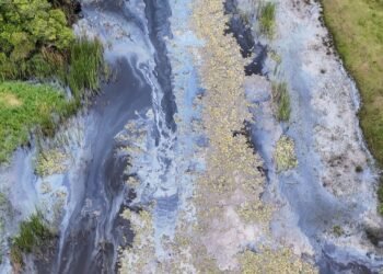 ‘Vivemos um racismo ambiental em todas as áreas da pesca do Rio Una’, diz quilombola de Cabo Frio