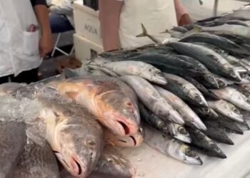Feira do Pescado espera 20 toneladas em vendas até sexta em Petrópolis