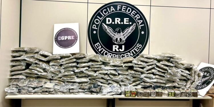 Motorista é preso com 100 kg de maconha e haxixe na Via Dutra, em Piraí