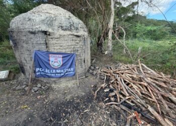Carvoaria ilegal em Cardoso Moreira é flagrada pela polícia