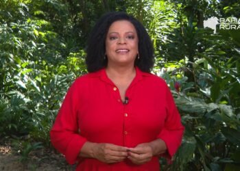 Vídeos do g1 e TV Bahia – domingo, 3 de maio de 2026