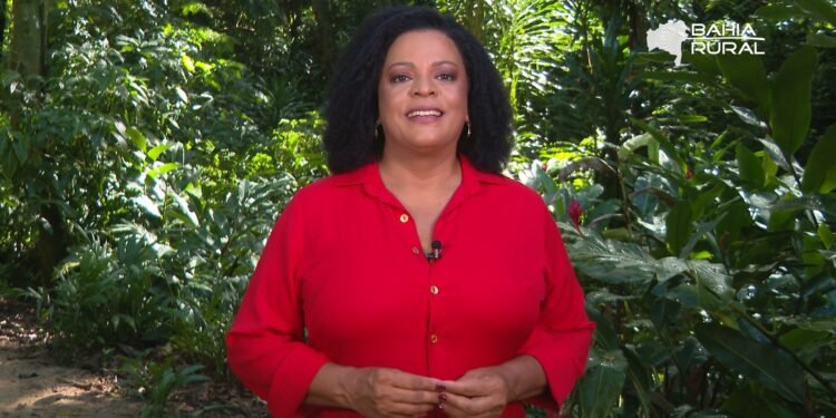 Vídeos do g1 e TV Bahia – domingo, 3 de maio de 2026