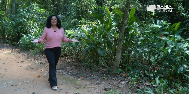 Vídeos do g1 e TV Bahia – domingo, 10 de maio de 2026