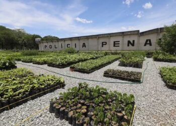 Presos beneficiados com saída temporária deverão retornar nesta quinta aos presídios do RJ