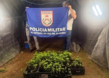Duas mulheres são presas em estufa com 190 pés de maconha em Angra dos Reis