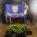 Duas mulheres são presas em estufa com 190 pés de maconha em Angra dos Reis