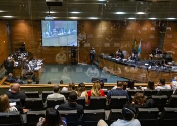 Caso Henry Borel: júri deve ouvir neste domingo babá que mudou versões sobre o caso