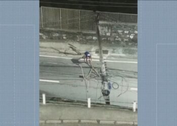 VÍDEO: ladrões jogam galhos na pista para assaltar motoristas na Zona Norte do Rio