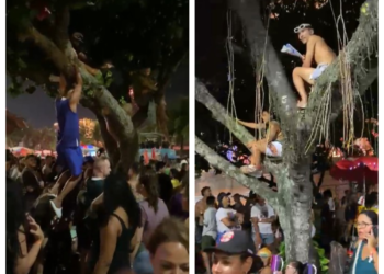 Em busca de visão privilegiada, fãs sobem em árvores antes do show de Shakira no Rio