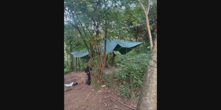 Bope encontra acampamento do tráfico durante operação no Morro do Borel, Zona Norte do Rio