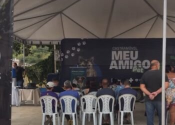 Itaperuna registra 2 mil castrações de cães e gatos nos primeiros cinco meses do ano