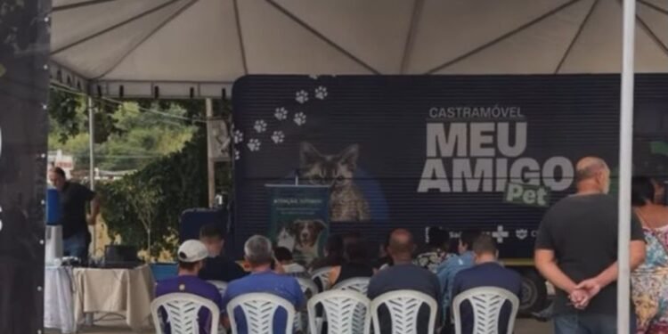 Itaperuna registra 2 mil castrações de cães e gatos nos primeiros cinco meses do ano Itaperuna registra 2 mil castrações de cães e gatos nos primeiros cinco meses do ano