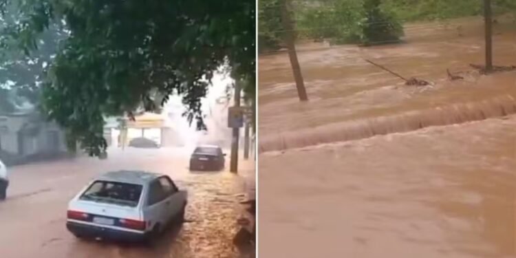 Estado sanciona lei que libera R$ 30 milhões para cidades atingidas pelas chuvas no RJ