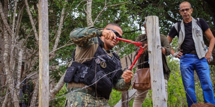 Fiscalização encontra desmatamento e construções irregulares em áreas protegidas de Cabo Frio