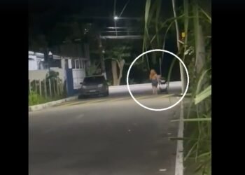 Vídeos mostram situações de risco relacionadas ao bebê de 8 meses