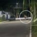 Vídeos mostram situações de risco relacionadas ao bebê de 8 meses