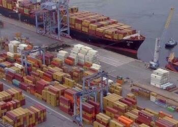 Auditor investigado pela PF e pela Receita liberou a entrada de 144 mil latas de energéticos proibidos pela Anvisa no Porto do Rio