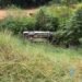 Viatura da PM cai em barranco durante ocorrência em Barra Mansa
