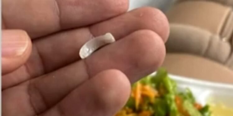 TCE multa prefeito e gestores por falhas na alimentação do Raul Sertã TCE multa prefeito e gestores por falhas na alimentação do Raul Sertã