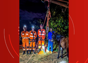 Resgate Notável: Bombeiros Salvam Mula de Cisterna Desativada no Norte de Minas