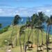 Ossada humana está localizada em terreno próximo ao Cristo da Barra, em Salvador