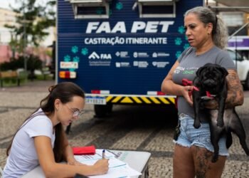 Volta Redonda abre mais 260 vagas para castração gratuita de cães e gatos
