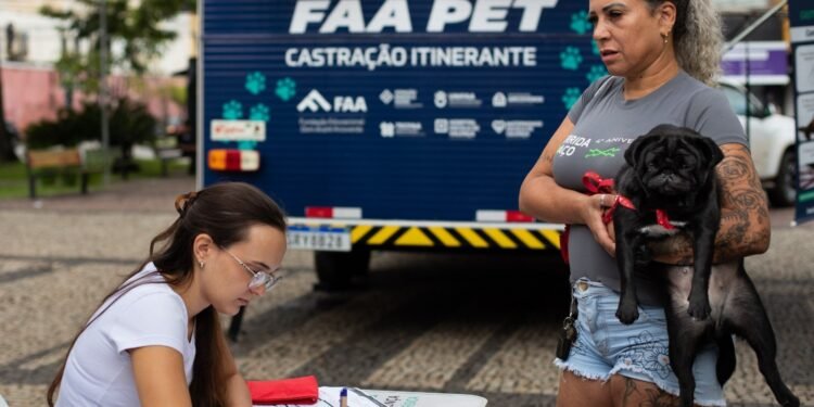 Volta Redonda abre mais 260 vagas para castração gratuita de cães e gatos