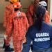 Ação da prefeitura resgatou 13 animais após denúncia de maus-tratos em Volta Redonda Ação da prefeitura resgatou 13 animais após denúncia de maus-tratos em Volta Redonda