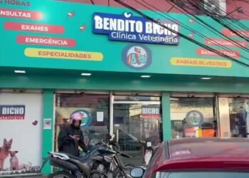Polícia Civil prende dono de clínica veterinária em Bonsucesso após apreender medicamentos vencidos