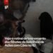 PM começa treinamento de 20 filhotes no Batalhão de Ações com Cães; VÍDEO
