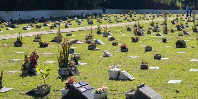 Sepultamento de cães e gatos amplia demanda por jazigos Sepultamento de cães e gatos amplia demanda por jazigos