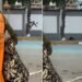 Homem fica gravemente ferido após cair do muro do cemitério em Arraial Homem fica gravemente ferido após cair do muro do cemitério em Arraial