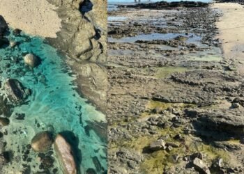 Inema aplica multas de R$ 20 milhões e R$ 50 milhões em empresas por contaminação de praia em Salvador