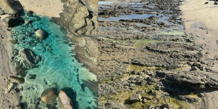 Inema aplica multas de R$ 20 milhões e R$ 50 milhões em empresas por contaminação de praia em Salvador Inema aplica multas de R$ 20 milhões e R$ 50 milhões em empresas por contaminação de praia em Salvador