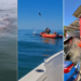 Baleia fica presa na rede de pesca, mas é salva em Rio das Ostras