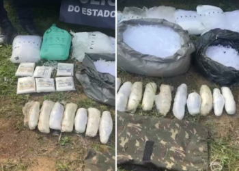 Polícia apreende mais de 11 kg de maconha escondidos em área de mata em Cabo Frio, no RJ
