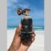 Granada é encontrada durante mutirão de limpeza na praia de Arraial