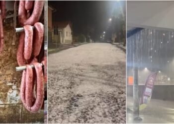 Zona da Mata: Açougue Interditado, Delegado Aposentado Preso e Temporais de Granizo na Semana
