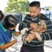 Vacinação gratuita de cães e gatos em Barra do Piraí: dias 20 e 21 Vacinação gratuita de cães e gatos em Barra do Piraí: dias 20 e 21