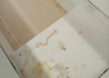 Após vídeo com inserção, Vigilância Sanitária notifica supermercado de Cabo Frio sobre sujeira e abertura no teto