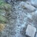 Itatiaia registra -4,4°C: Parque Nacional tem manhã congelada