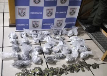 Jovem é preso por tráfico de drogas em Mendes